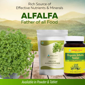 HERBAL HILLS Alfalfa Powder | 16 Oz (454 GMS)