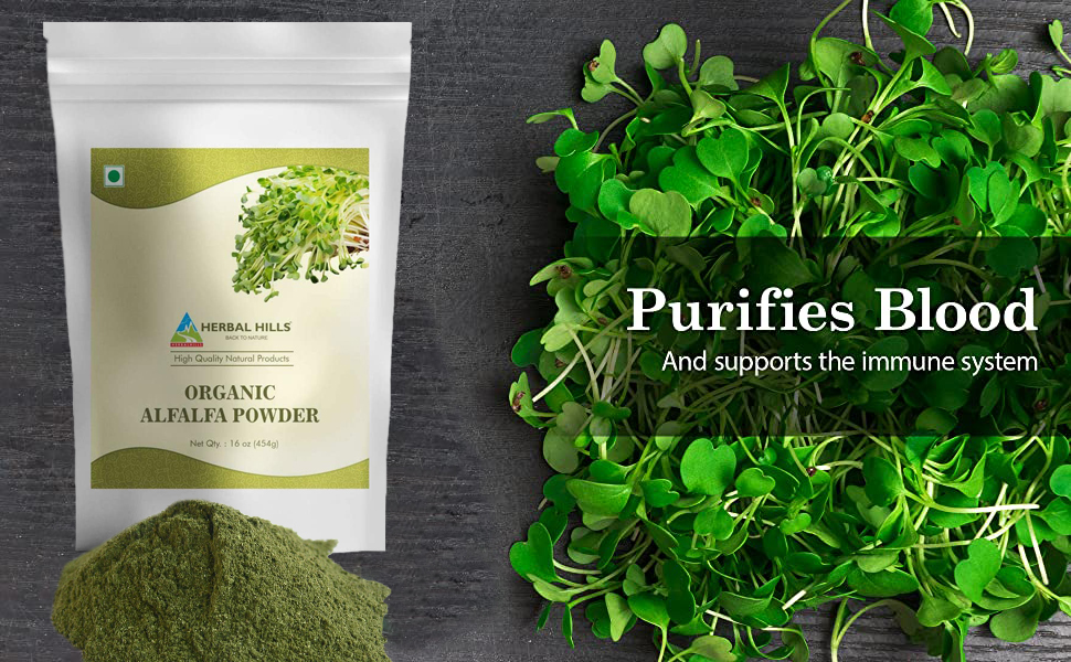 HERBAL HILLS Alfalfa Powder | 16 Oz (454 GMS)