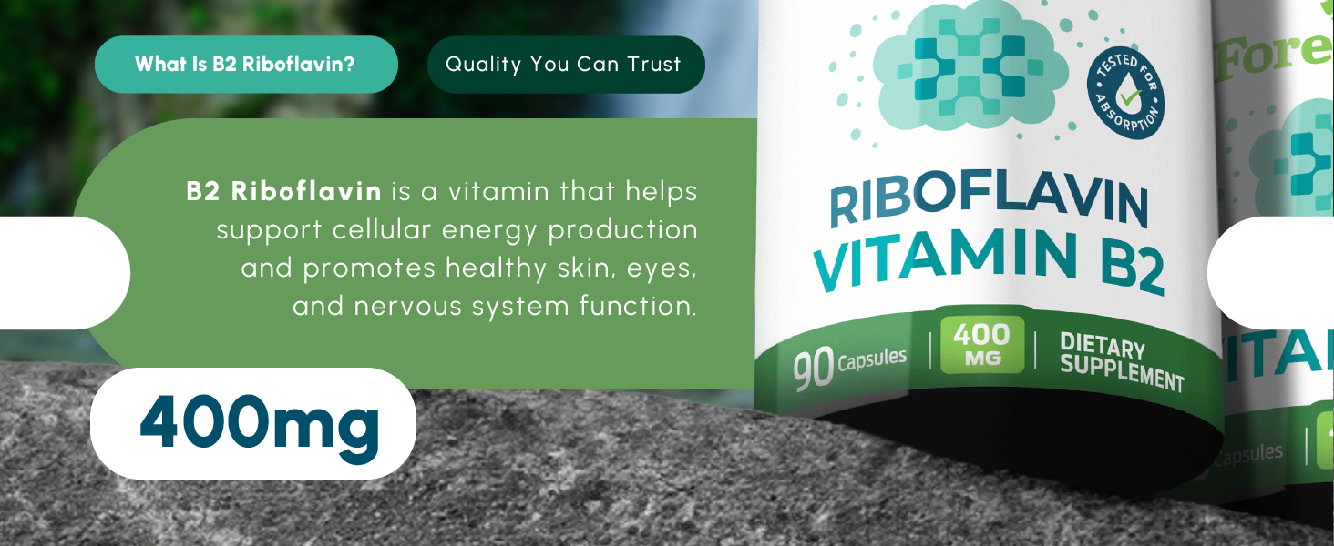 Vitamin B2 Riboflavin 400mg - Energy, Skin & Cellular Health Supplement - Nervous System Support - Vitamin B 2 Vit B - Non-GMO & Gluten Free - B2 Vitamin 400mg Vegetable Capsules, 90 Count 2-Pack
