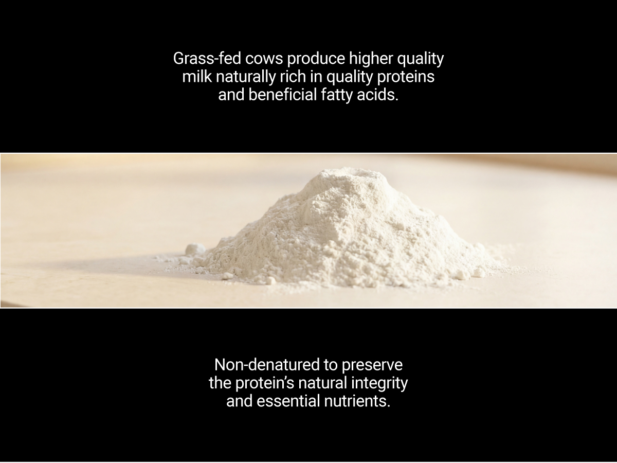 NAKED Whey 2LB 100% Grass Fed Whey Protein Powder - Only 1 Ingredient, Unflavored Whey Protein, NSF Certified, Undenatured, Gluten Free, Soy Free, No GMOs, No Preservatives