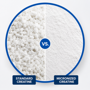 TERRA ORIGIN Healthy Creatine Micronized Monohydrate Powder | 30 Stick Packs | Support for Muscle and Cognitive Performance* | Supplement for Women and Men | Unflavored, Gluten Free, Zero Sugar