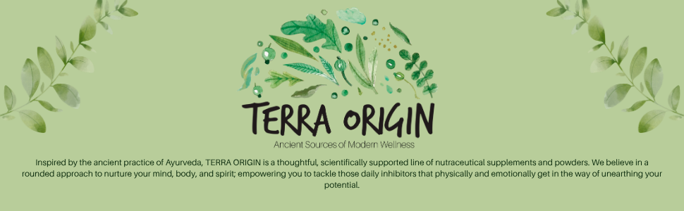 TERRA ORIGIN Healthy Creatine Micronized Monohydrate Powder | 30 Stick Packs | Support for Muscle and Cognitive Performance* | Supplement for Women and Men | Unflavored, Gluten Free, Zero Sugar