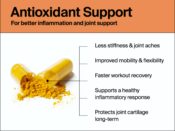 The Absorption Company Curcumin - Turmeric Supplement Capsules - 60 Count