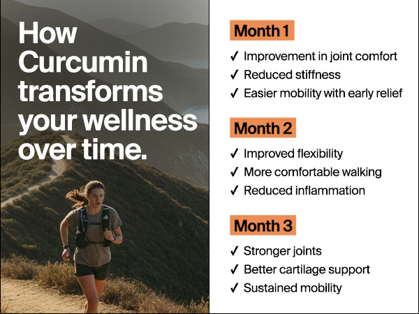 The Absorption Company Curcumin - Turmeric Supplement Capsules - 60 Count