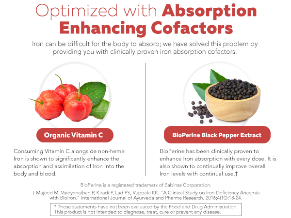 Organic Iron Supplement, Whole Food Mineral & Cofactors, 25mg, Gentle Form