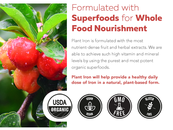 Organic Iron Supplement, Whole Food Mineral & Cofactors, 25mg, Gentle Form