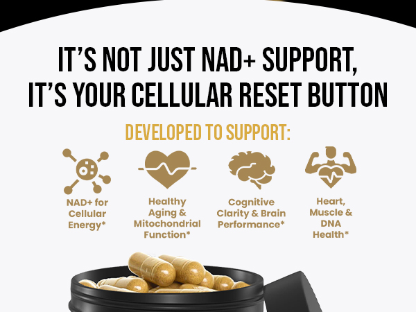 DLNIA Liposomal NAD+ Supplement & NMN Alternative | Nicotinamide Riboside (NR) 1258 mg with Resveratrol, Quercetin, Pterostilbene & CoQ10-12-Nutrient High-Absorption Cellular Energy & Healthy Aging