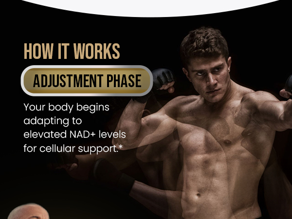 DLNIA Liposomal NAD+ Supplement & NMN Alternative | Nicotinamide Riboside (NR) 1258 mg with Resveratrol, Quercetin, Pterostilbene & CoQ10-12-Nutrient High-Absorption Cellular Energy & Healthy Aging