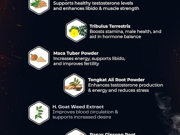 Testosterone Booster Supplement for Men - Tongkat Ali, Once Daily Formula