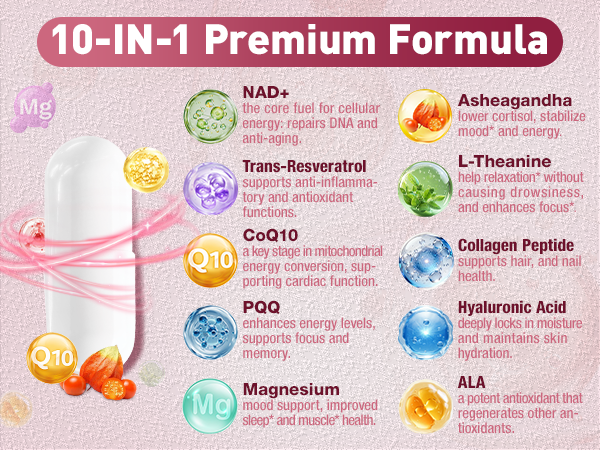 Totaria NAD+ Supplement for Women - NAD Trans-Resveratrol Supplement with Magnesium,CoQ10,PQQ, Ashwagandha,Collagen Peptide - NMN & NMNH Alternative - Cellular Renewal & Energy - 120 Capsules