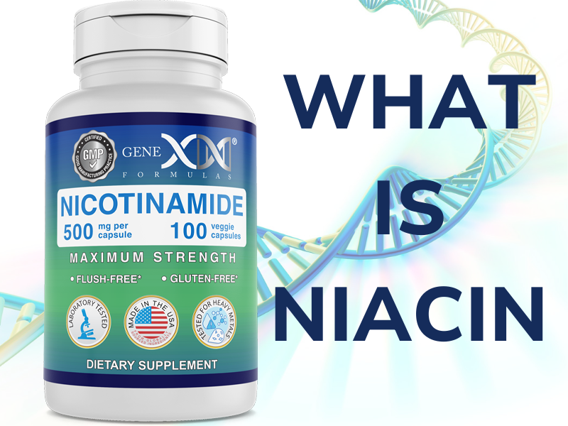 Genex Formulas Nicotinamide 500mg, Vitamin B3 Flush Free Niacin, 100 Caps