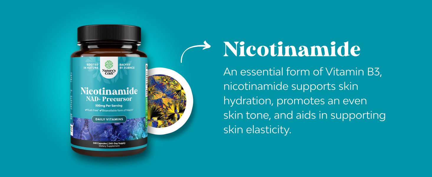 Nicotinamide 500mg Niacinamide 500mg Vitamin B3, Niacin Alternative - 240ct