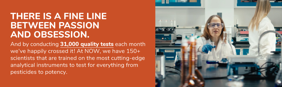Now Supplements, Grape Seed Extract, Maximum Strength 500 mg (a Highly Concentrated Extract with a Minimum of 90% Polyphenols), 90 Veg Capsules