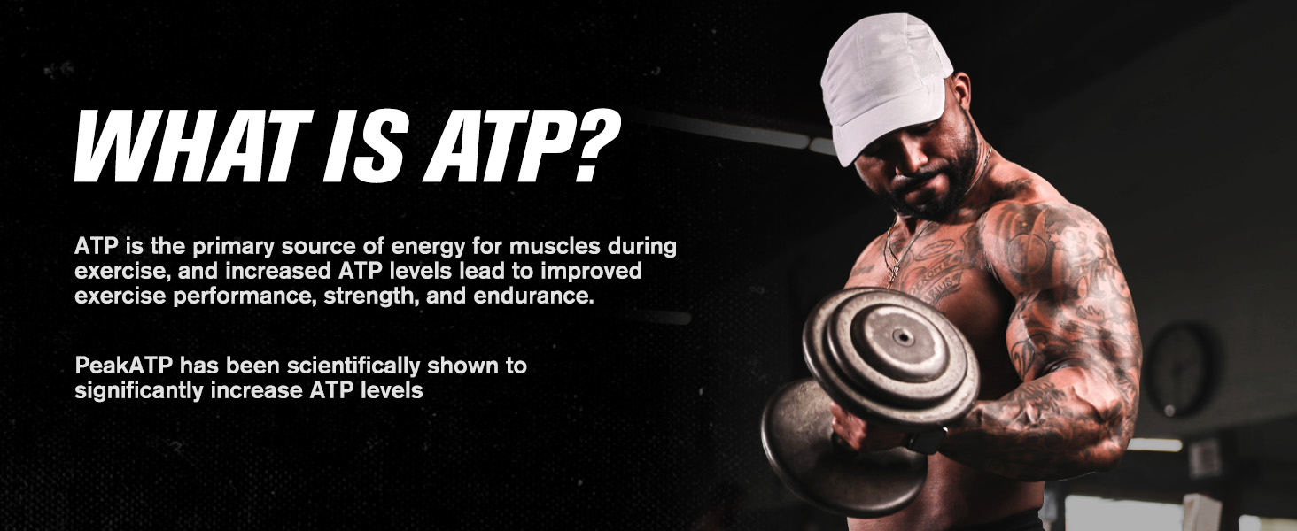 Jacked Factory Essentials Muscle Builder - ATP Muscle Builder for Men with Peak ATP to Support Muscle Gain, Enhance Athletic Performance, & Increase Strength - 30 Capsules