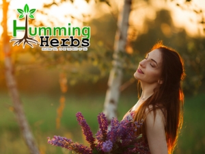 Humming Herbs Berberine Supplement | 8in1 | 90 Caps | with Ceylon Cinnamon Milk Thistle Bitter Melon & Probiotics - For Optimal Health