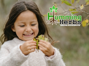 Humming Herbs Berberine Supplement | 8in1 | 90 Caps | with Ceylon Cinnamon Milk Thistle Bitter Melon & Probiotics - For Optimal Health