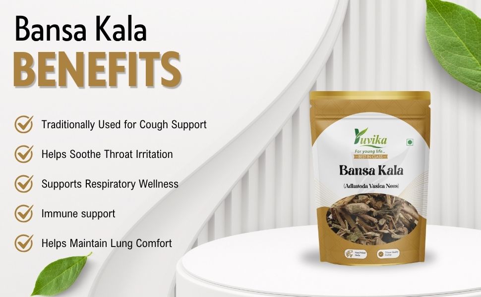 Yuvika Bansa Kala | Adhatoda Vasica | Malabar Nut | Herbal Ingredient | 100 Grams