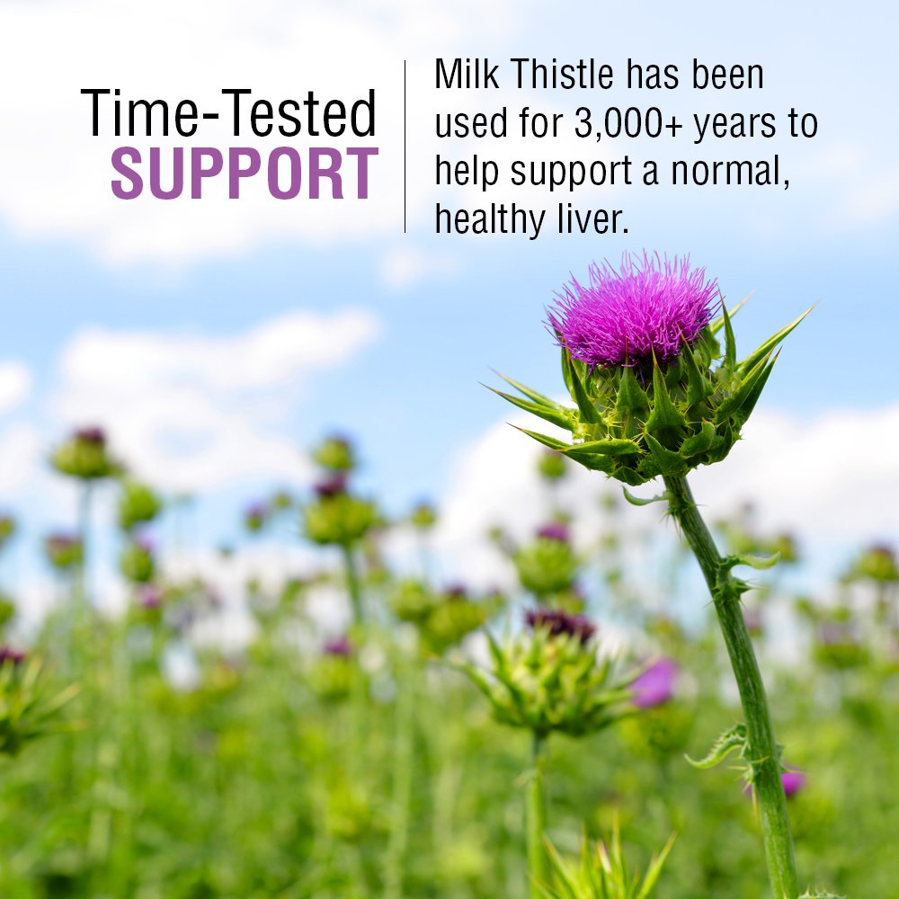 solaray-milk-thistle-seed-extract-175mg--4.jpg