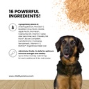 vitality-science-celloquent-for-dogs-enh-2.jpg