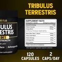 zolotus-13in1-tribulus-terrestris-capsul-4.jpg