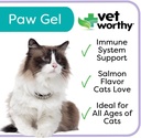 vet-worthy-lysine-paw-gel-aid-for-cats---2.jpg