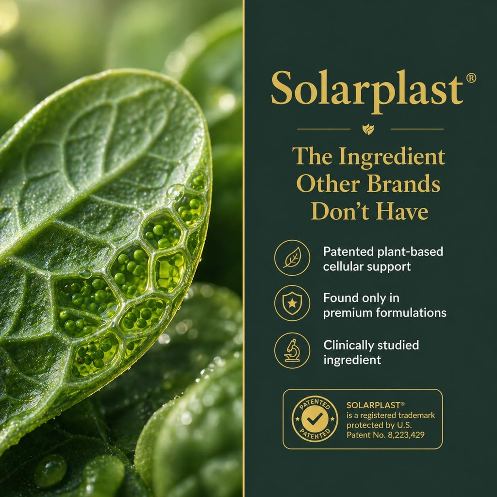liver-support-solarplast-milk-thistle-ar-4.jpg