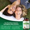 zazzee-organic-elderberry-extract-and-as-4.jpg