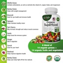 organic-superfood-greens-fruits-and-vegg-3.jpg