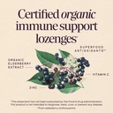 nature-s-way-sambucus-zinc-lozenges-with-3.jpg