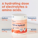 nativepath-native-hydrate-zero-sugar-ele-6.jpg