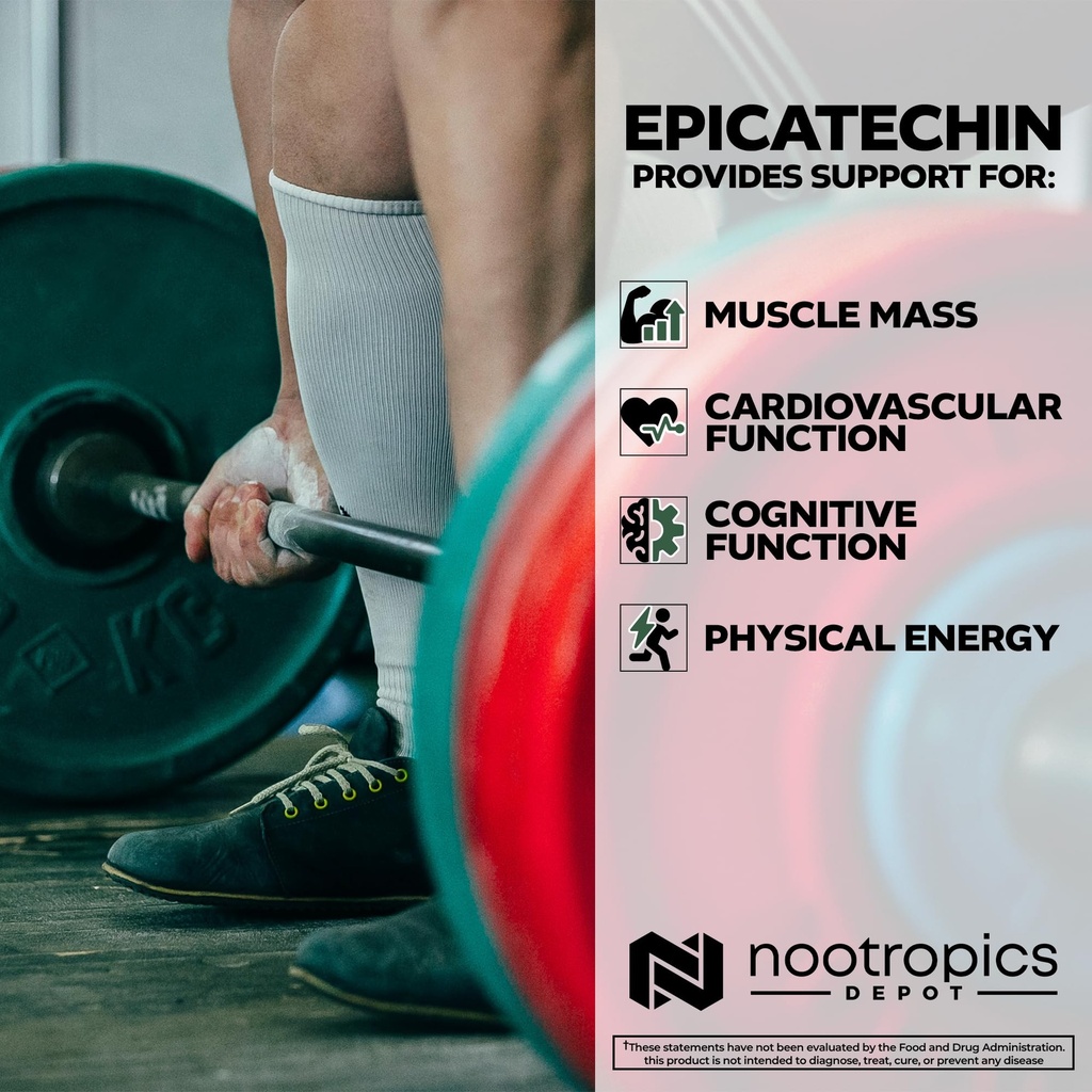 nootropics-depot-epicatechin-tablets-200-4.jpg