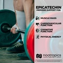 nootropics-depot-epicatechin-tablets-200-4.jpg
