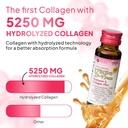 fine-japan-hyaluron-collagen-plus-liquid-4.jpg