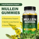 mullein-gummies-for-lungs-mullein-extrac-2.jpg