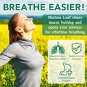 mullein-gummies-for-lungs-mullein-extrac-3.jpg