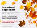 dr-wakde-s-gymnema-capsules-gudmar-i-100-5.jpg