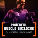 beyond-raw-lit-v2-clinical-strength-pre--4.jpg