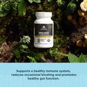 ancient-nutrition-regenerative-organic-c-4.jpg