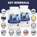 mega-minerals-supplement-by-youfit-nutri-6.jpg