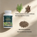 liver-protector-liver-support-supplement-3.jpg