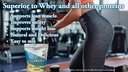 healthy-n-fit-100-egg-protein-unflavored-5.jpg