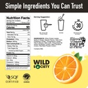 wild-society-clear-protein-powder-electr-5.jpg