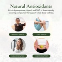 organic-black-seed-oil---usda-certified--4.jpg