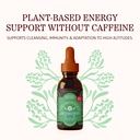 herbs-etc-chloroxygen-chlorophyll-concen-2.jpg