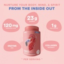 birdman-fitmingo-vegan-protein-powder-wi-4.jpg
