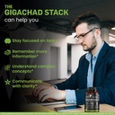 the-gigachad-stack-foundational-nootropi-4.jpg