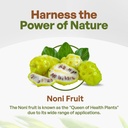 noni-fruit-powder-organic-51-extract-pur-3.jpg