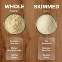 bovine-colostrum-powder-grass-fed-pastur-6.jpg