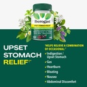 iberogast-gummies-upset-stomach-relief-h-2.jpg