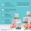 one-sol-pre-workout-for-women-enhanced-p-4.jpg